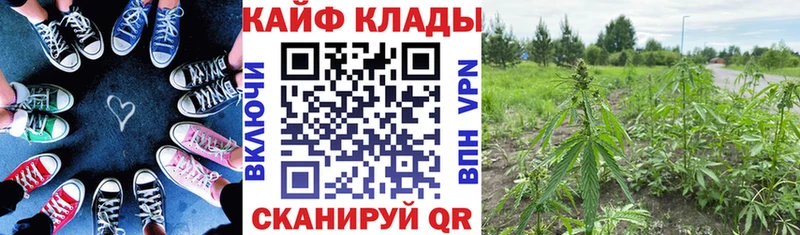 Купить наркотики цена Бирюч Псилоцибиновые грибы  КОКАИН  МЕФ  Канабис 