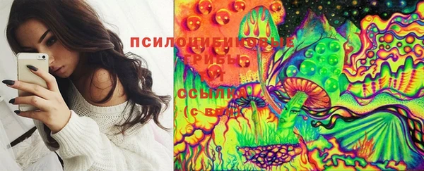 ПСИЛОЦИБИНОВЫЕ ГРИБЫ Алексин