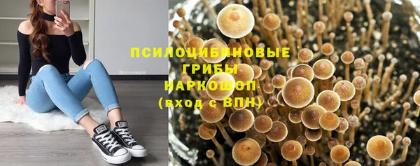 хмурый Арсеньев