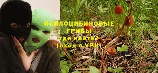 ALPHA PVP Осинники