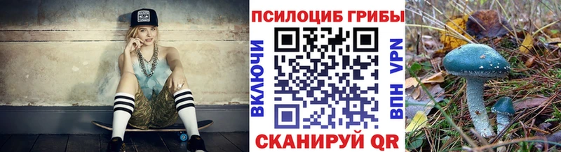 shop состав  Бирюч  Галлюциногенные грибы Psilocybe  наркошоп  гидра ТОР 